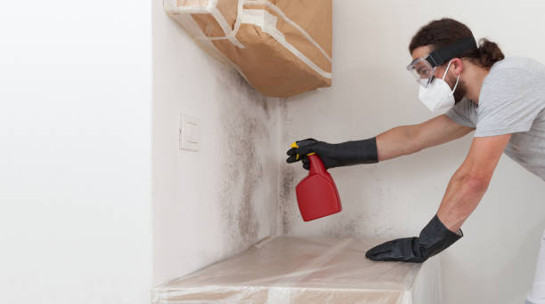 Professional Mold Remediation technician working in Norfolk, MA