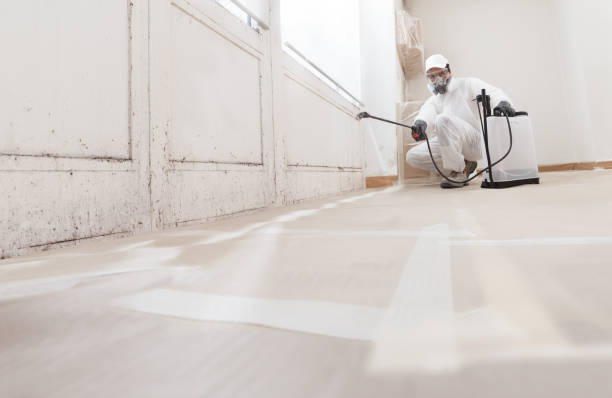 24/7 Emergency Mold Remediation experts in Norfolk, MA