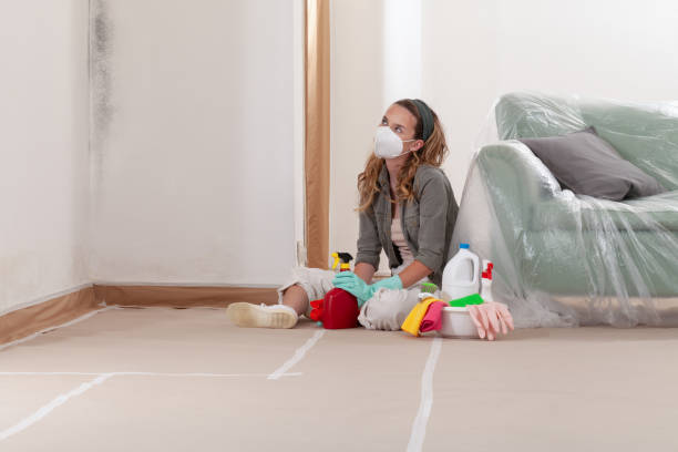 Reliable Mold Remediation contractor in Norfolk, MA by 24 Hour Mold Removal